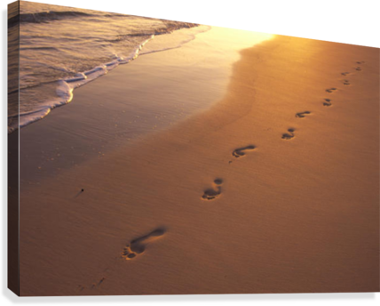 Then That I Carried You Verse (428x344), Png Download