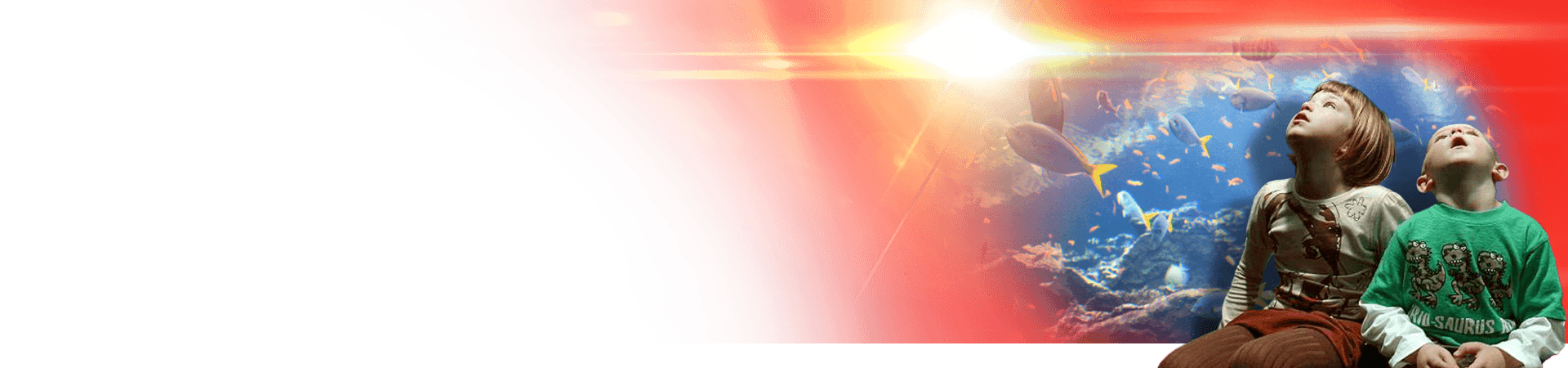 Bryn Jones Associates Ltd - Corporation (1920x450), Png Download