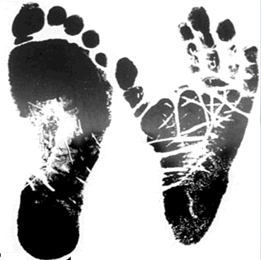 Chimpanzee Footprint Vs Human (369x368), Png Download