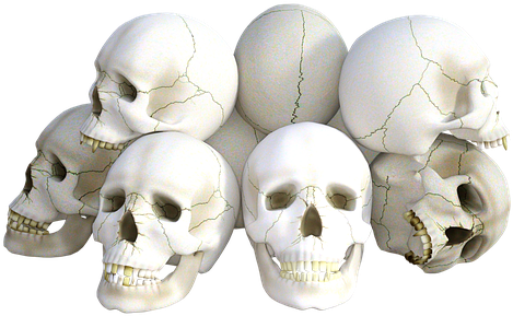 Skulls Png - Skulls By Express Yourself Journals 9781539042488 (paperback) (640x426), Png Download