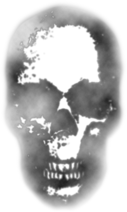Axeinhead - Skull Overlay Png (441x735), Png Download