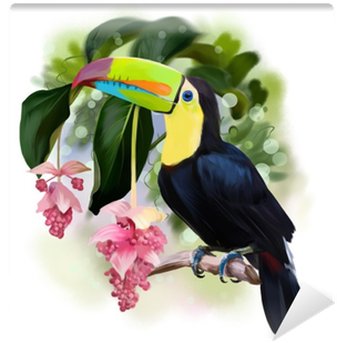Rainbow Toucan Watercolor Drawing Wall Mural • Pixers® - Toucan Png (400x400), Png Download