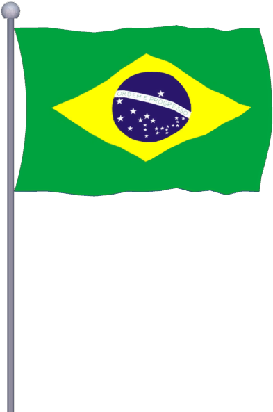Brazil Flag (592x592), Png Download