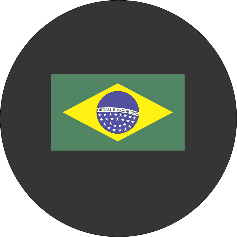 Brazil Vol. 1: Gary Headman Haase (800x800), Png Download