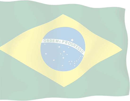 Brazilian Flag - Flag Of Brazil (550x430), Png Download