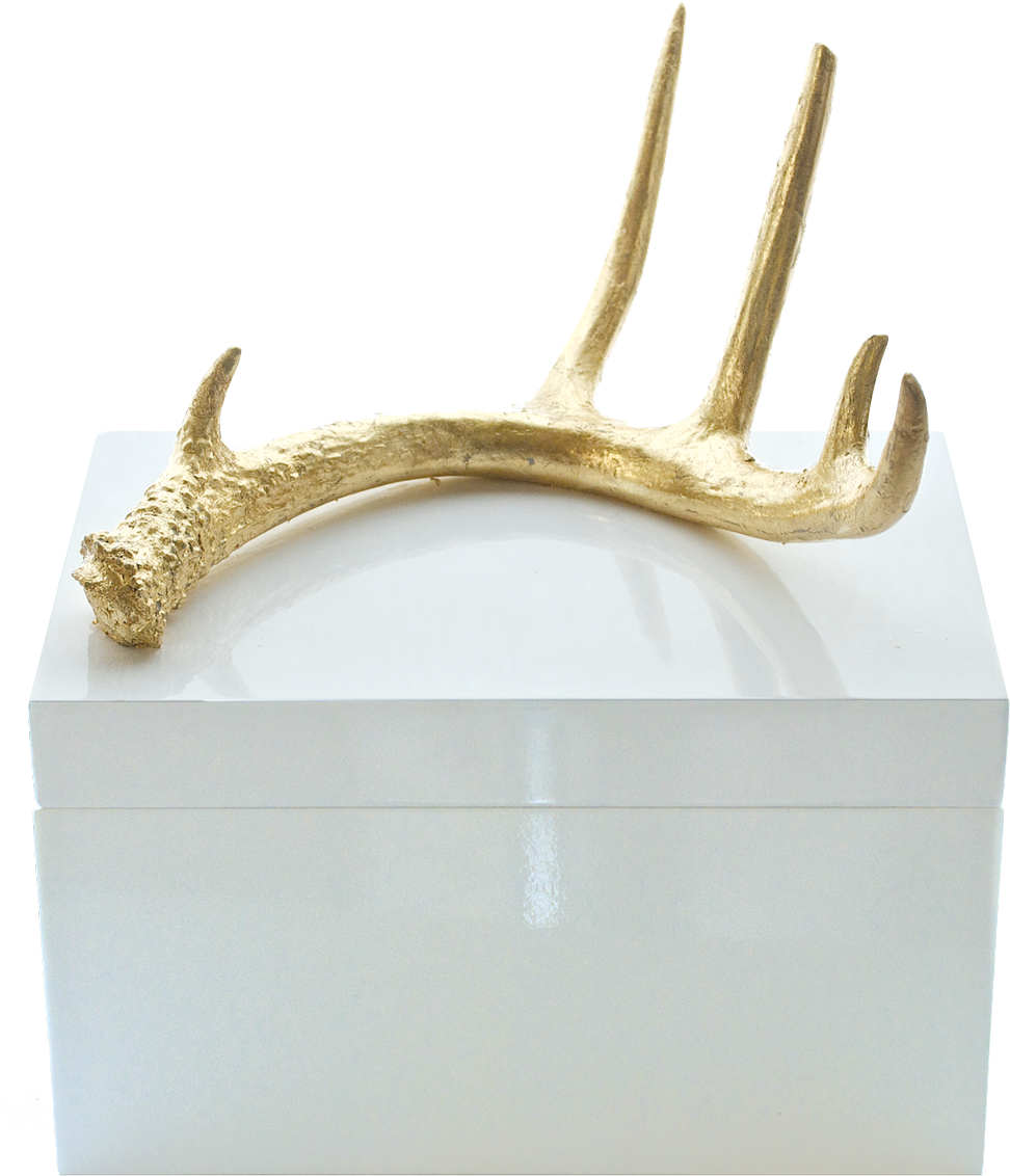 Lacquered Box With Antler - Reindeer (997x1166), Png Download