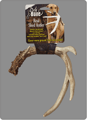 Dog Bone Shed Dummy Retrieving Antler (340x469), Png Download
