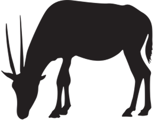 Animal Silhouettes The Arts Image Pbs - Gazelle Silhouette Png (505x399), Png Download