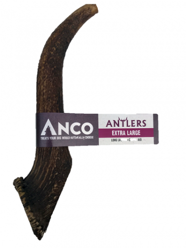 Antler (500x500), Png Download