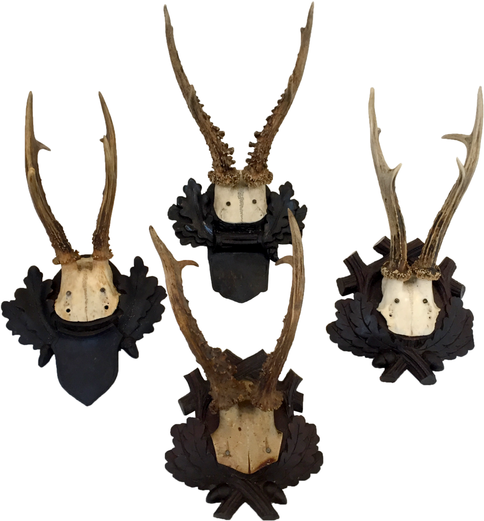 Antler Mounts (1000x1061), Png Download