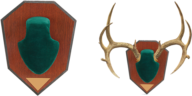 Allen Company Antler Mounting Kit - Allen Company Skull Cover Antler Mounting Kit (700x700), Png Download