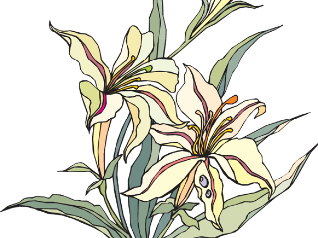 Lily Of The Valley Clipart Watercolor Lily - Watercolor Painting (640x480), Png Download