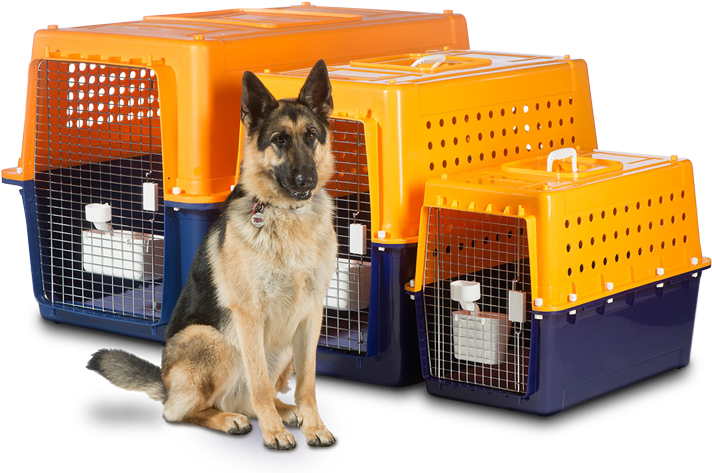 Our Airline Approved Travel Crates Are Made For Your - Jet Pets Dog Crates (800x481), Png Download