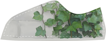 Watercolor Vines, Climbing Plant Women's Canvas Shoes - Creeper Plants And Paintings (500x500), Png Download