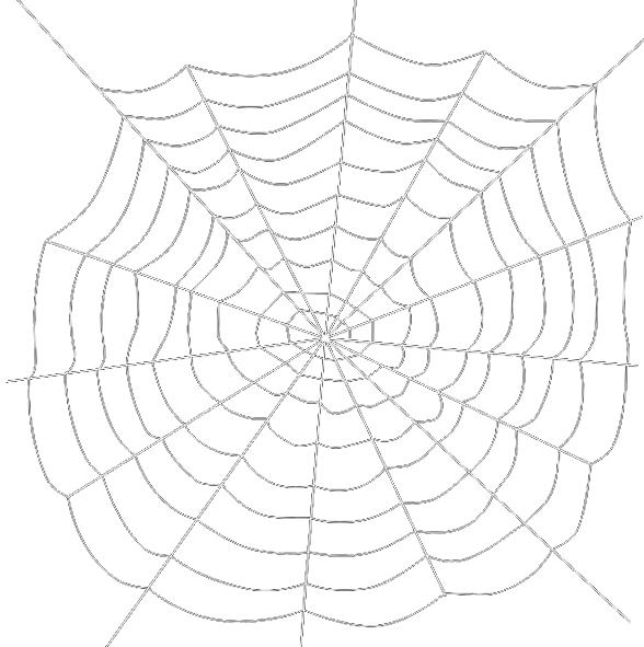 Spider Web Png Transparent Background - Spider Web Transparent Background (588x591), Png Download