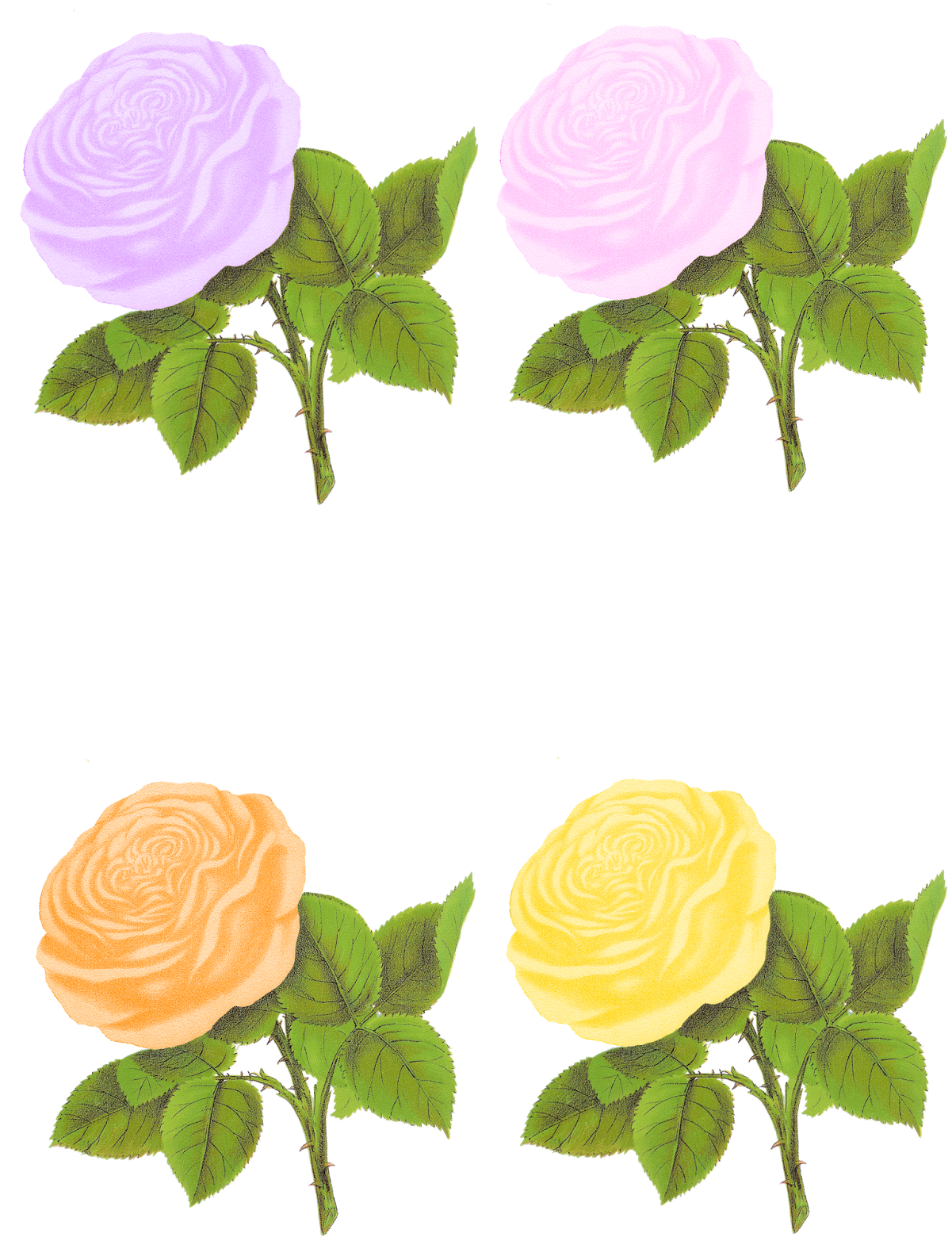 Paper Crafting Rose Digital Collage Sheet Flower Clip - Rose Flower Png Pastel (1237x1600), Png Download