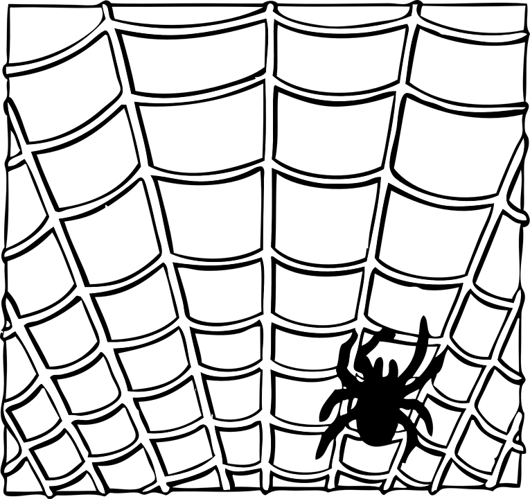 Spider Web Border - Spider Web Clip Art (765x720), Png Download
