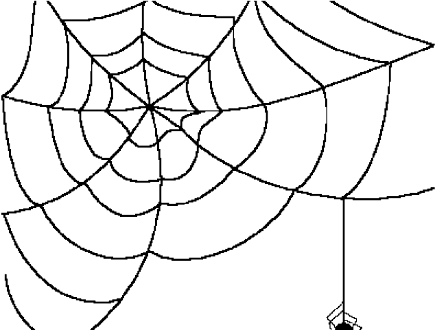 Drawn Spider Web Transparent Background - Spider Web Transparent (640x480), Png Download