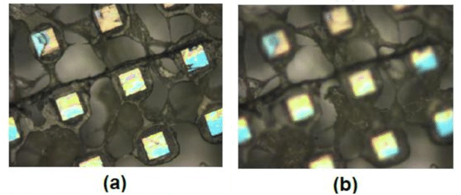 Optical Image Of The Cobweb Tenax Ta, And (b) Are - Smartphone (850x293), Png Download