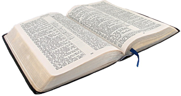 Clip Free Clipart Open Bible - Bible On White Background (736x389), Png Download
