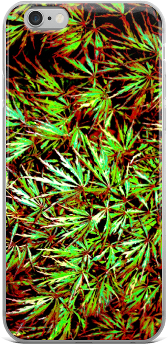 Japanese Maple Iphone Case - Iphone (1000x1000), Png Download