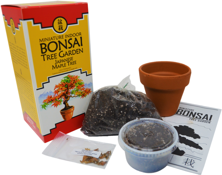 Bonsai Tree Garden Diy Grow Kit With Japanese Maple - Bonsai (1057x700), Png Download