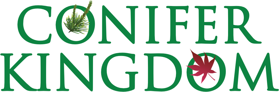 Search - Writer Sticker (1000x349), Png Download