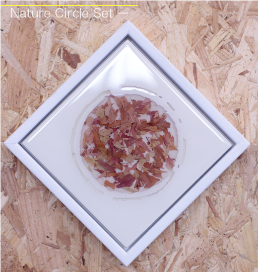 Nature Circle Set 1 Front Home B Japanese Maple Gillies - Granita (785x540), Png Download