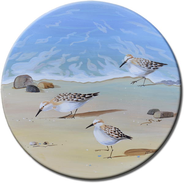 Sandpiper Birds Running On The Beach - Sand Piper Birds On The Beach (960x600), Png Download