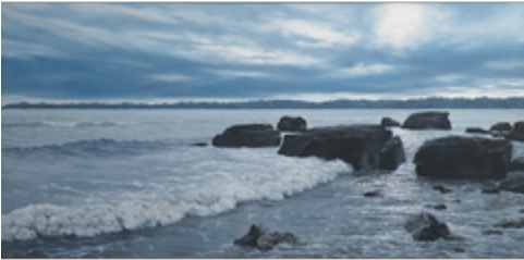 William Hobbs (500x360), Png Download