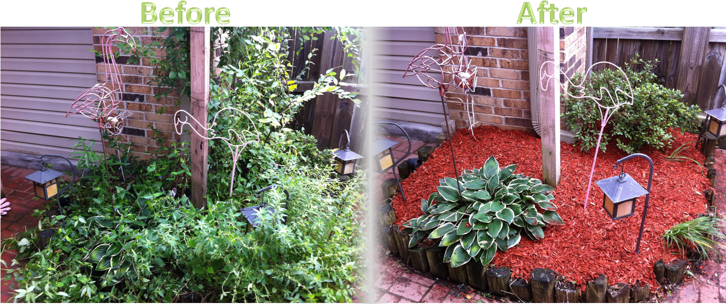 Flower Bed Maintenance - Flower Bed Before And After Mulch (1469x654), Png Download