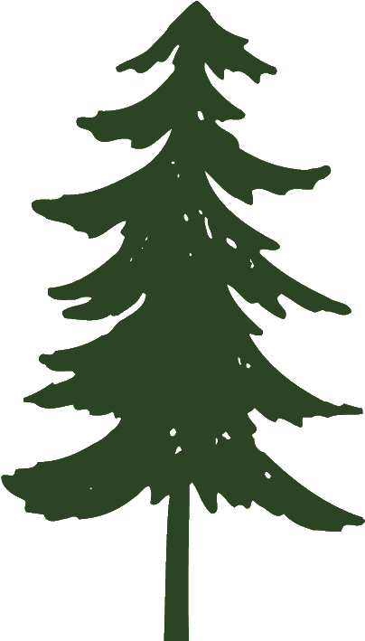 Graphic Transparent Clip Art Trees Black And White - Pine Tree Clip Art Png (424x713), Png Download