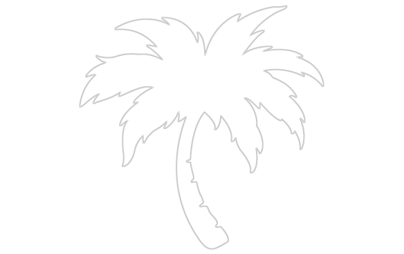 Palm Tree Png Vector (584x368), Png Download