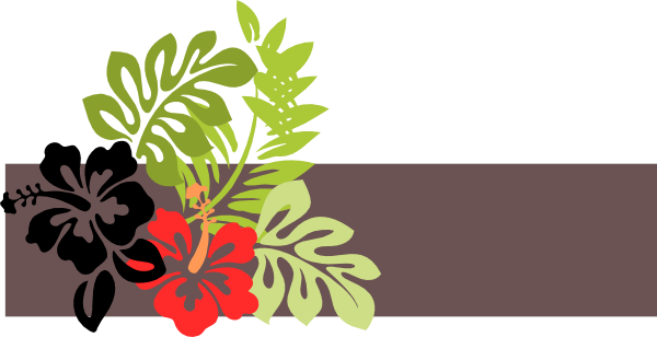 How To Set Use Tropical Party Icon Png (600x308), Png Download