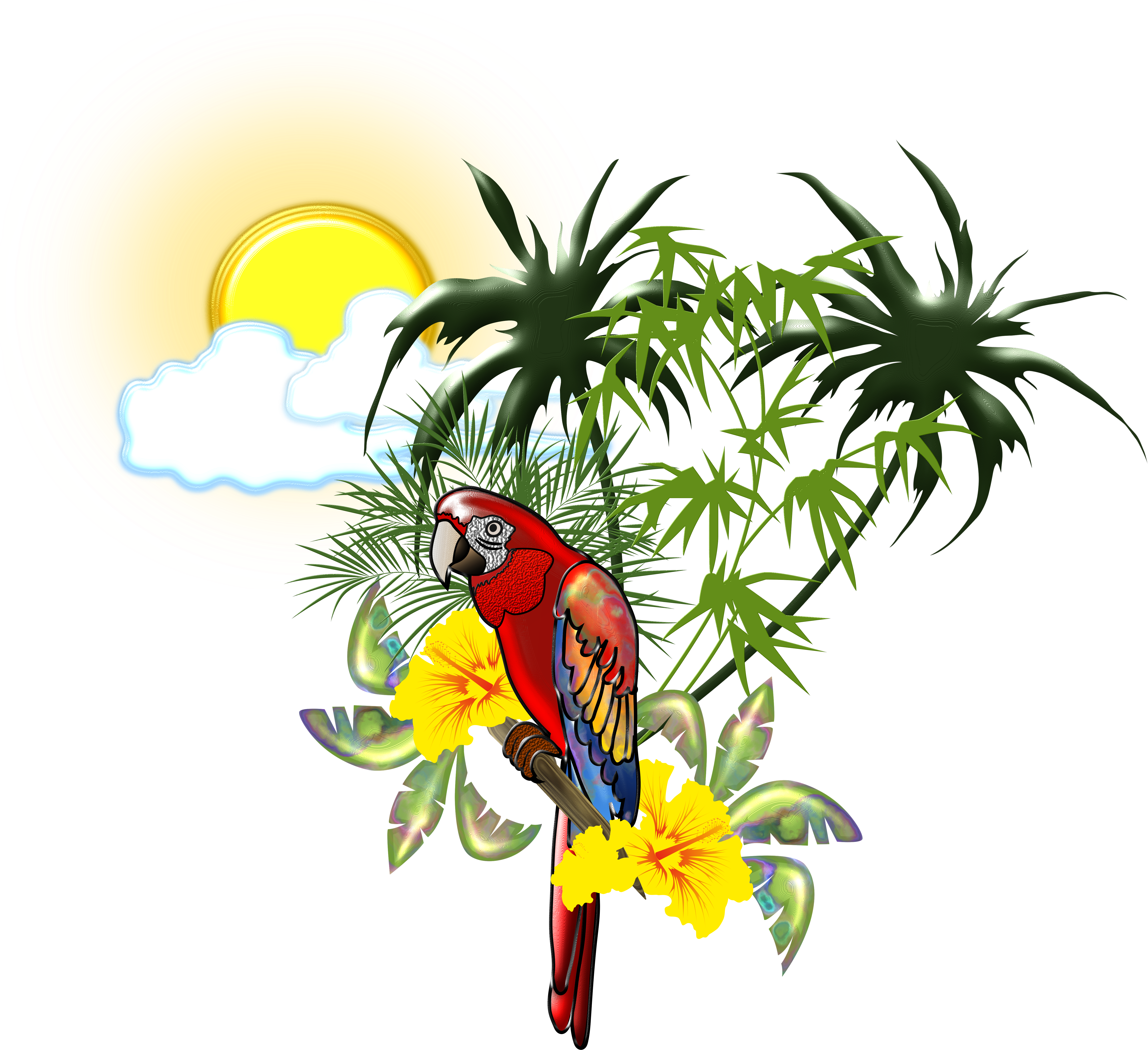 Tropical Guacamaya Hd (6000x5564), Png Download