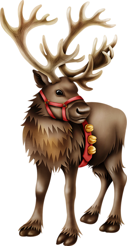 Christmas Reindeer * More Christmas Raindeer, Christmas - Christmas Day (415x800), Png Download