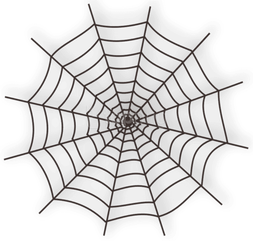 Free Png Download Large Haunted Spider Web Png Images - Transparent Spider Web Clipart (850x812), Png Download