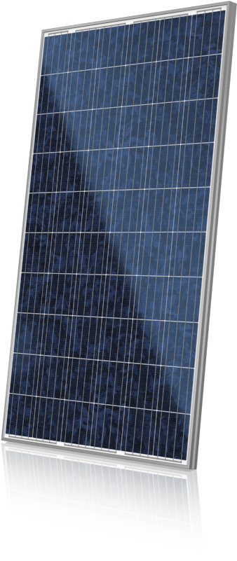 Canadian Solar 275 Wp (550x920), Png Download