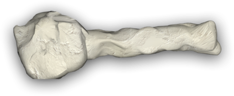 Bone 5 4e - Tool (2329x3262), Png Download