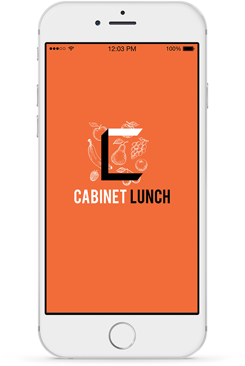 Cabinet Png (504x751), Png Download