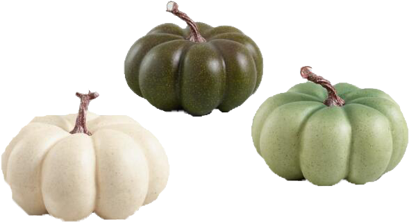 Medium Ivory And Green Faux Heiloom Pumpkins Set Of (650x650), Png Download
