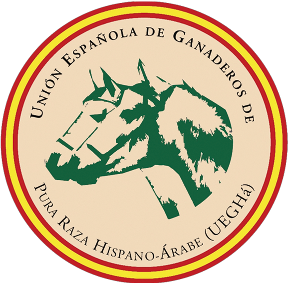 Caballo Hispano Árabe - All Saints High School Logo (618x585), Png Download
