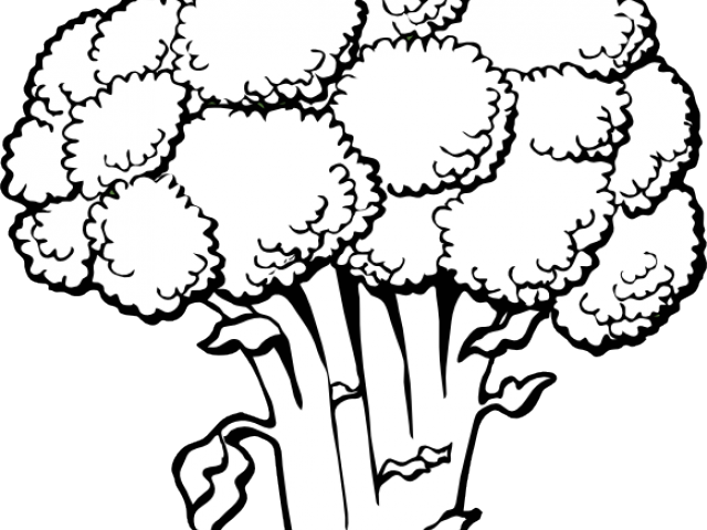 Armadillo Clipart Black And White - Vegetable Clipart Black And White Free (640x480), Png Download