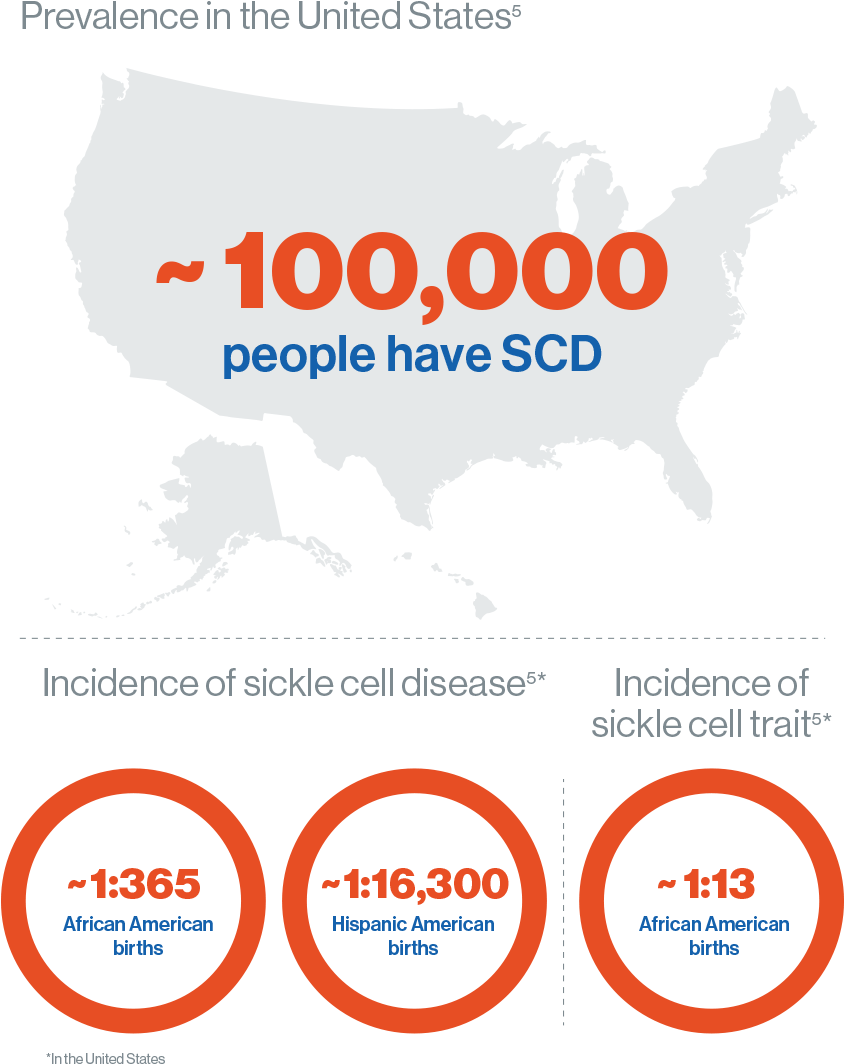 Epidemiology - Circle (849x1072), Png Download