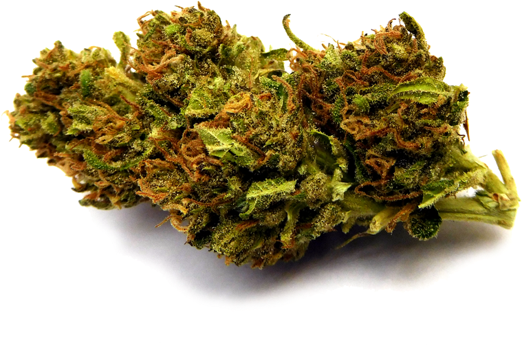 Blueberry#2 Nobg-stickybydz - Non-vascular Land Plant (1000x652), Png Download