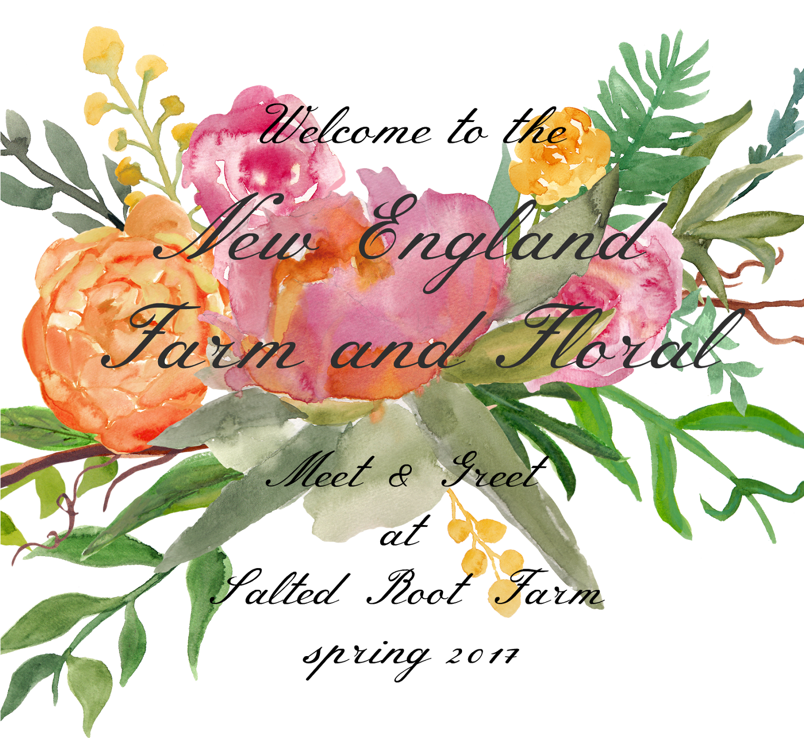 Flower By - Rosa Glauca (1600x1600), Png Download