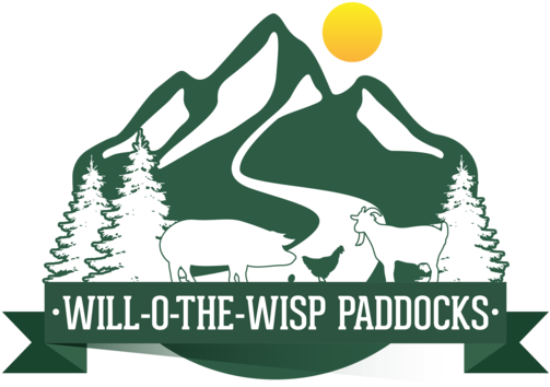 Wisp Png (1000x1000), Png Download