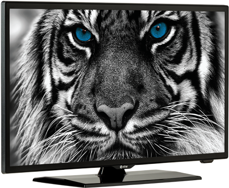 Estar Led Tv - E Star Tv (772x680), Png Download