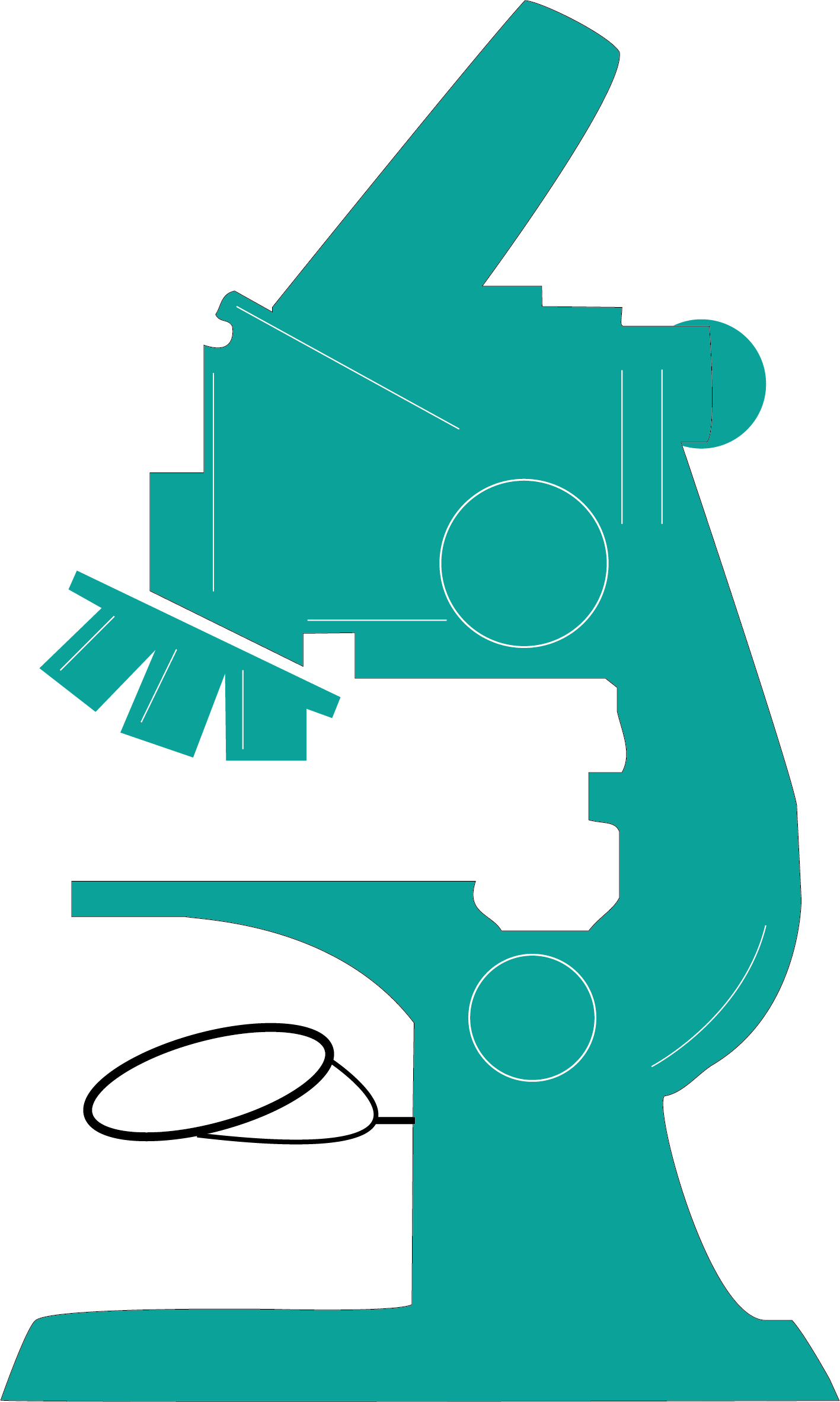 Clipart Transparent Library Clip Art Green Transprent (1417x2365), Png Download
