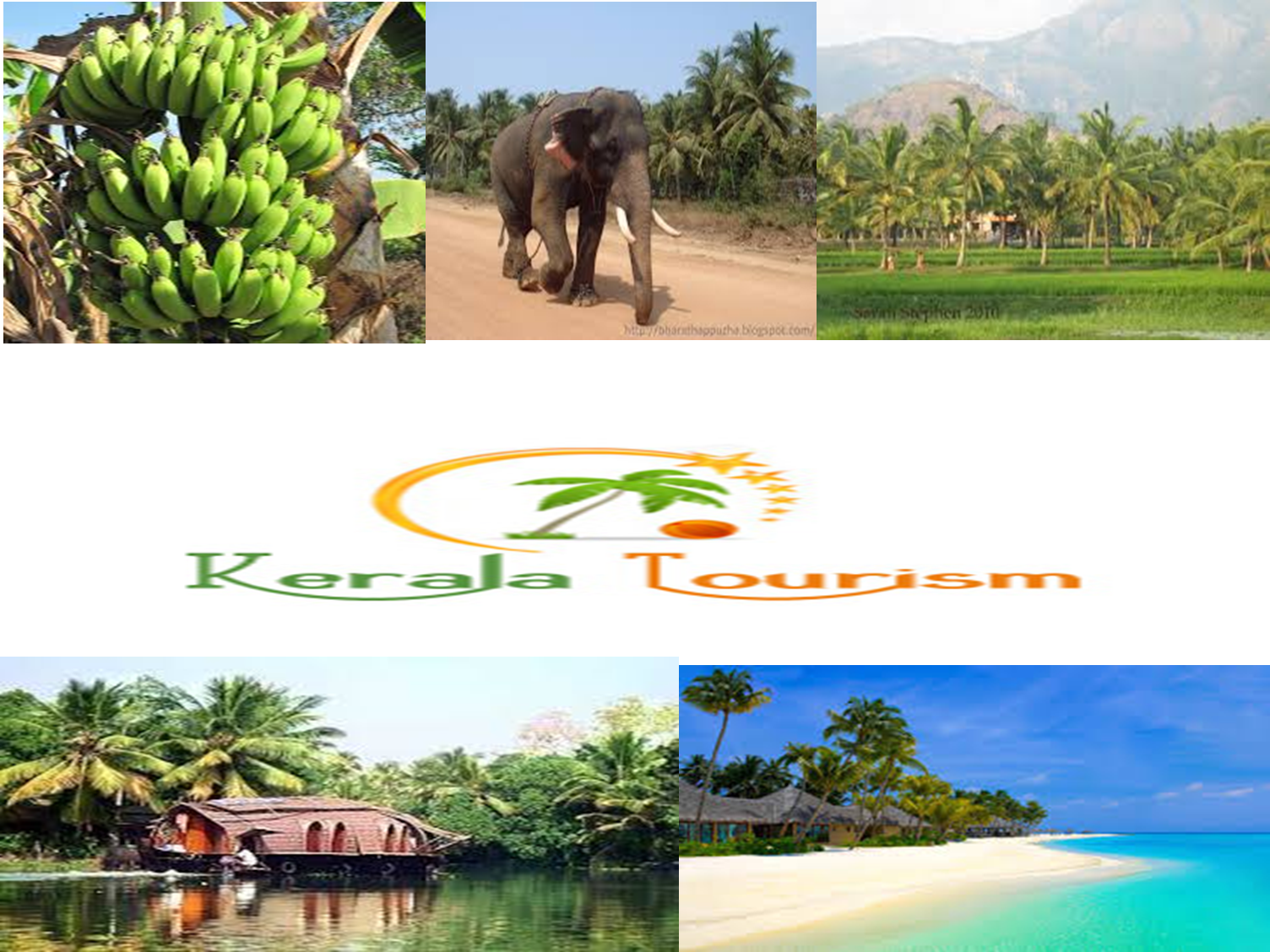 The Money They Send Back Home Forms The Backbone Of - Indian Elephant (1504x1128), Png Download